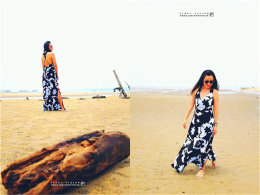 ��ʷ���� ̽�ô��Ź���ʱ��ӡ�ǵĽ���