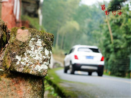 ������ �ݳ�������������˵�������