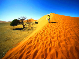 ������������� ���������������ɳ��