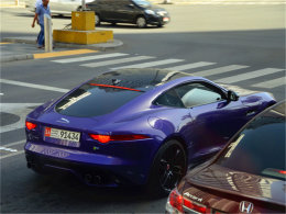 �˿�����ʮ�ָ��� ǳ�ΰ�����һ������