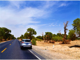 ������ңԶ�ĵط� ��ɽ�ϱ��ʹ�Į���