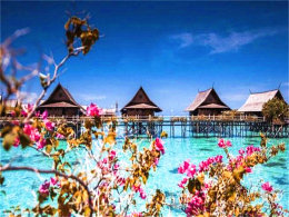 ������������ ���������ɱ���������