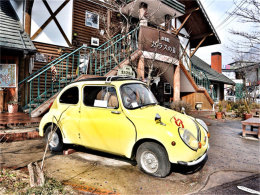 Ѱ�´�½̽������ ���������ܶ��ɷ�ɣ