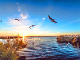 ÿһ����������� �Ƕ��Դ�Խ�ڰ��Ĺ�