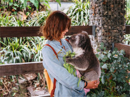 �ϰľ����Լ� ��һ���붯��Ļ���ð��