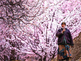 ѩɽ�ӻ��Ͻ����� ����8000�����Լ�