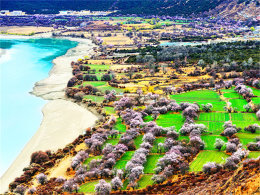 ����ʥ��ʮ���һ� ���µ����۾�������