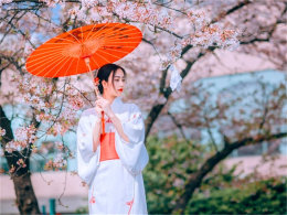 ���ɴ�����ӣ���� ����������Ӱ���޿�