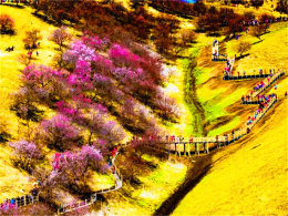 �½������е����� ̧ͷ�ɼ������ɷ���