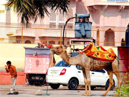 һ��ӡ�����е����� �������ҵ�ի�ն�