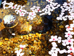 ������������� ����椶�����ӣ��֮��