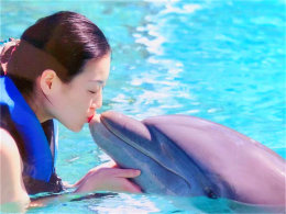 ��ɡ�Ǻ����ȹ�� ������֮�þ�������