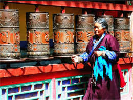 �����֮��������� ��ԭ����ɷ��Լ�