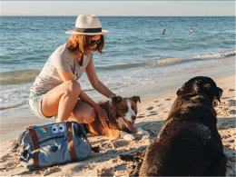 ̽��֮·����ͣ�� �����ϲ�9���Լ�֮��