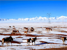 �����Լ��߹���· ����������Ϣ�����