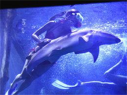 ����컺��ʳԸ��� ��������2���Լ���