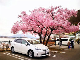 ũ����԰��Ұ�˺� ��ʿɽ�µ�������ׯ