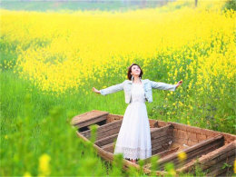 �����˲�Ұ�� 2018�����˷����Լ�ģʽ