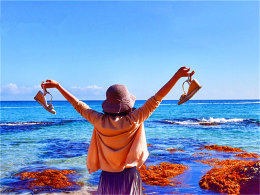 ��һ�ι��� ��������ڼ���ĳ�ǽ֮��