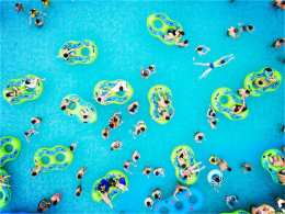 ð�ռҵ����� �㶫���յ���ȷ�򿪷�ʽ