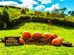 ��������³�� ����Ϊ����ɽ�ϵĳ��С�