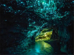 �������ϵ��Լ��� ɫ�ʰ�쵵���������