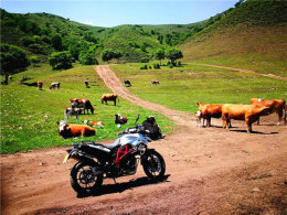 ��ͬ������������ 700GS�����´����ƹ�