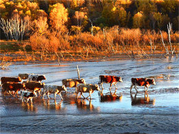 ���������ϰ���Ʈ ��������ţ������