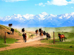 �۾����� �������� �½��������Լ�֮��