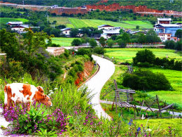 �ҴҶ������г� ���������˴���ķ羰