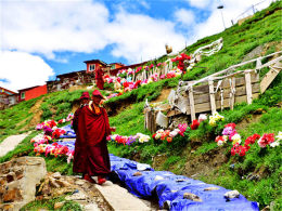 ��;��ɫ�����۵� ���ߴ����߱����Լ�