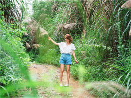 ������������ͣͣ ���ܰ�����С�����