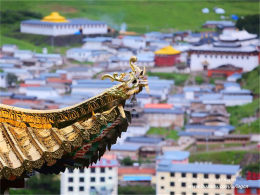 ׷������������ ���ϲ�ԭ�Լ���Ӱ֮��