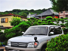 ������Ϣ�������� һȺ�������ǵĺ���