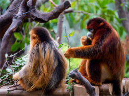 һ·���칫������ 2018һ�Ρ���·Ը��