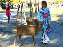 �＾����Ҷ���� ���ճ��Ĵ��ŷ���㾰