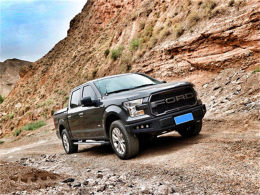 Ұ֮· F-150