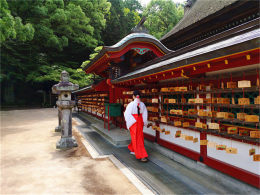 ��ζʮ�� �����������еġ�ѧ��֮��