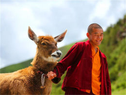 ��Լ������� �����������˼��Լ�����