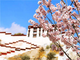 �����һ�����֮�� ·�ϵ�����������