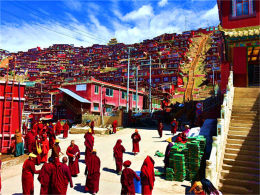 ɽ���¶�·���� һ·�����¸�̽��317