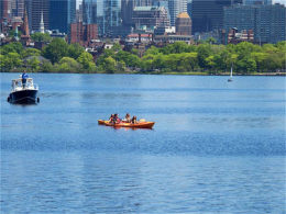 ����ʿ�� ���������Ļ���ֵ�ĳ���֮һ