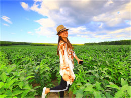 ֵ������ȥ�Ȱ� �����ú�ɽȷʵ����