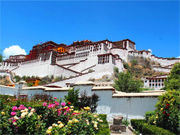 ���ϻ�ȥ���� ȥ�������صĲ�������