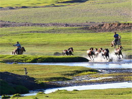 ����������� ������ͳ���ԭ-��������