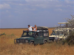 ���׸ǵ�ɣ���Ͷ� ������Ӵ���������