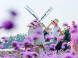 �����ܱ����� ������ɫ���������ׯ԰