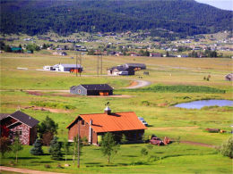 �������������� �峿������һͬ����