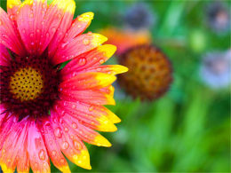 ������Ȼ��ɶ� ���ߴ�������· ���ƪ