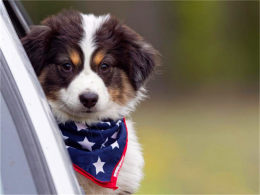 ������ ɽ�۸������� ������ǧ��ı���